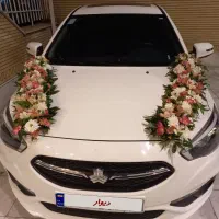 ماشین دربستی برا تمام مرزها شاهین