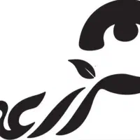 راننده و موزع
