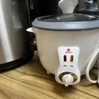 پلوپز برقی