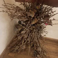 میز کنار سالنی ،ماهی پلیستر جا شمعی .دکوری،تابلو