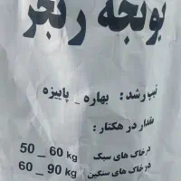 بذر یونجه رنجر