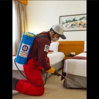 گروه سمپاشی/کل شهر/سم پاشی باکادرین مجرب سراسری