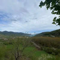 باغ-مرکبات-با-امکان-ساخت-ویلا-و-سند-روستایی