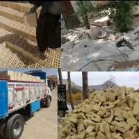 کارگر هستیم باتخصص باتجربه به صورت اجاره برمیداریم