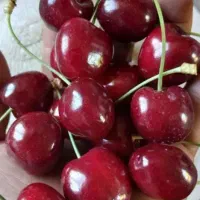 گیلاس