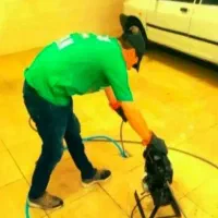 لوله بازکنی سالور صادقیه شیرودی گلها مظفریه مطهری