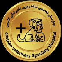 جذب نیروی ادمین خانم