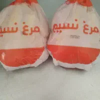 مرغ گشتار روز