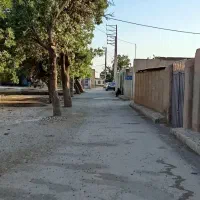 ملک-فروشی