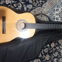 گیتار c60