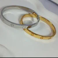 بدلیجات رنگ ثابت