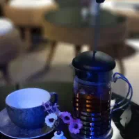 باریستا خانم نیم حرفه‌ای  کافه پلاتو هنری
