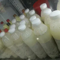 فروشنده خانم لبنیات ارم 3