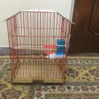 قفس پرنده