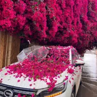 82 متری 2 خواب کلید نخورده فول امکانات