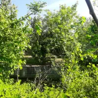 باغ ویلای درجه یک وادان