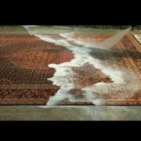 قالیشویی گل رز شفت