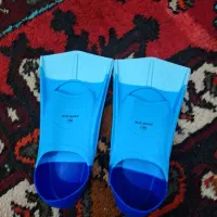 فین پا