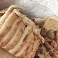نان خشک بدون کپک بدون اشغال