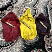 گوشی موبایل