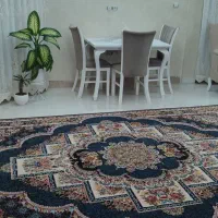 فرش درحدنو