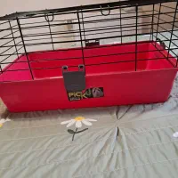 باکس خرگوش و خوکچه