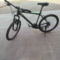 ۲۶ تنه بلند
