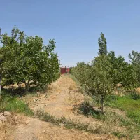 باغ-در-دماوند-هومند-خسروان