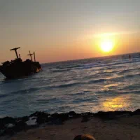 اجاره نمایشگاهی گلدیس