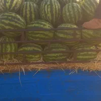 هندوانه