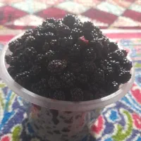 تمشک محلی