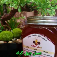 عسل طبیعی/ درمانی/ خرید از زنبوردار