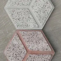موزاییک  پاسارگاد (صالحی)