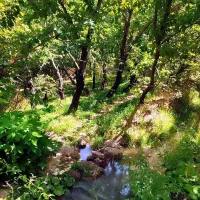 باغ-در-روستای-درصوفیان-روبروی-روستا-به-مساحت-1500