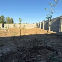 باغ جهت ویلا سازی
