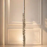 فلوت ژوپیتر  JFL 511 RBES.