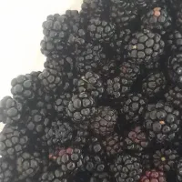 تمشک و اب نارنج ..