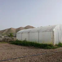 گلخانه