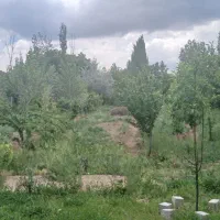 فروش باغ