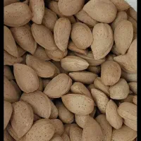 بادام درختی