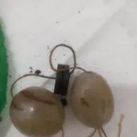 سنگ شانس سنگ انرژی مثبت