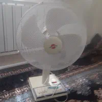 پنگه
