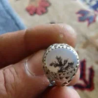 انگشتر شجر یخی اصل