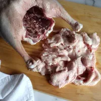 غاز زنده بومی و لیندا