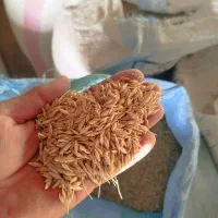 جو ایرانی چاق
