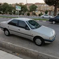 پژو کاملا خانگی