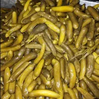 دبه ای پونصدو هشتاد هزار تومان ساندویچی