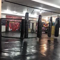 باشگاه حمید