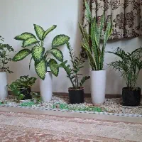 پراید مدل ۸۹