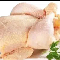 گردن مرغ غذای حیوانات